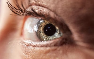 What is a Corneal Ulcer and How is it Treated?